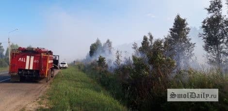 В Рославльском районе произошёл пожар на бывшем торфопредприятии