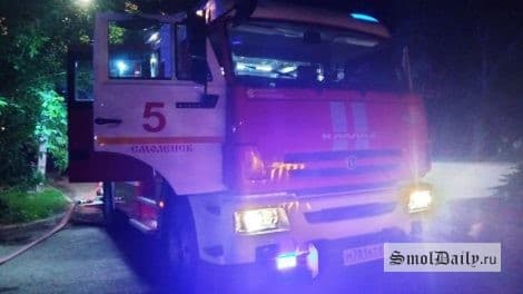 В Рославле пламя уничтожило гараж