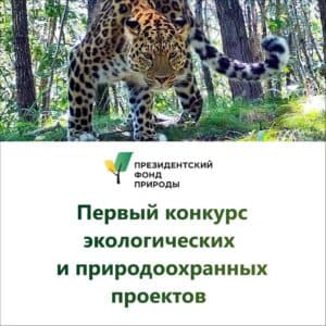 1 апреля стартовал первый конкурс экологических и природоохранных проектов