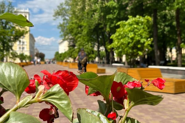 Девять общественных пространств благоустроят в Смоленской области