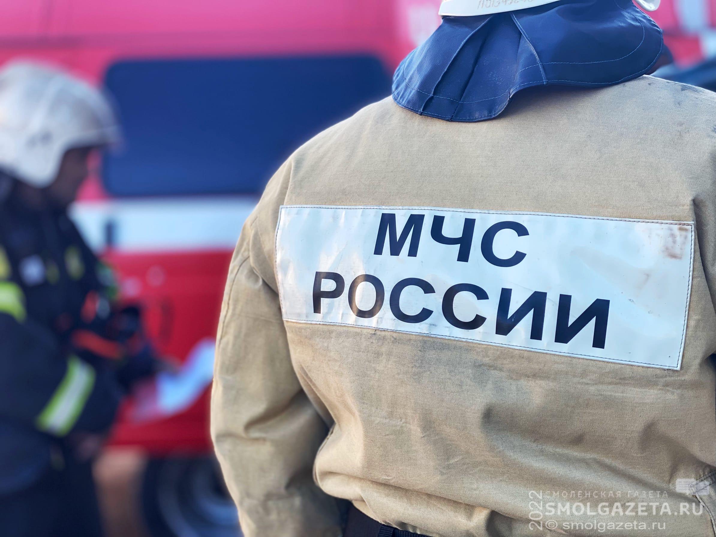 Во 2-ом переулке Энгельса в Рославле загорелась иномарка