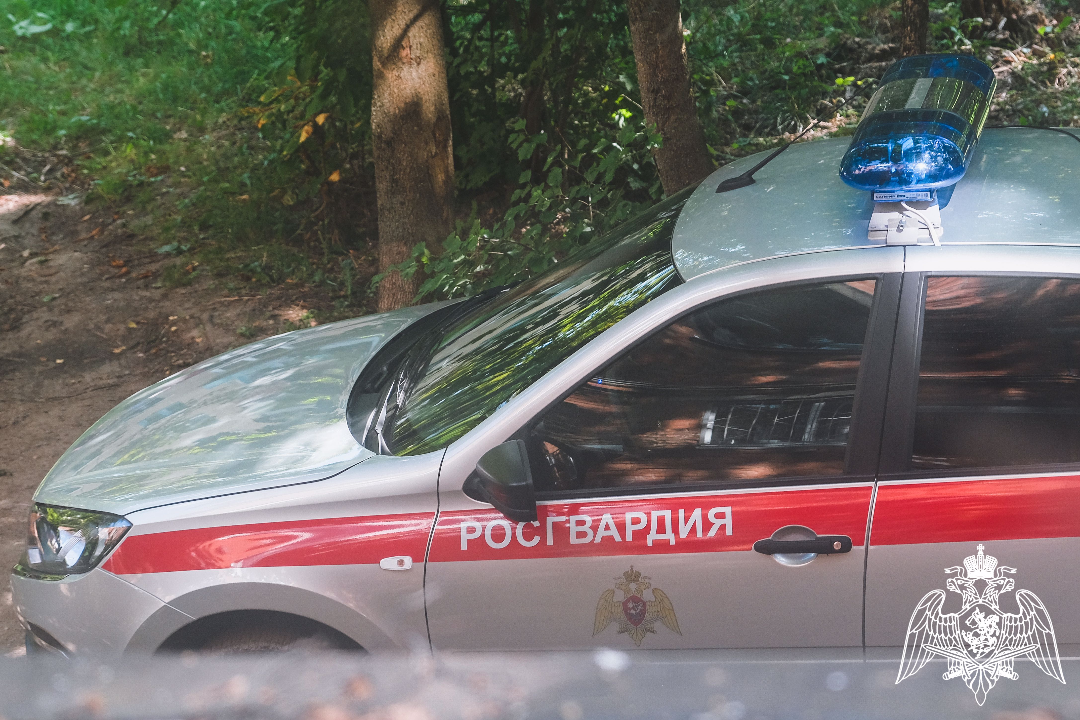Росгвардейцы задержали смолянина, который пытался скрыться от правосудия