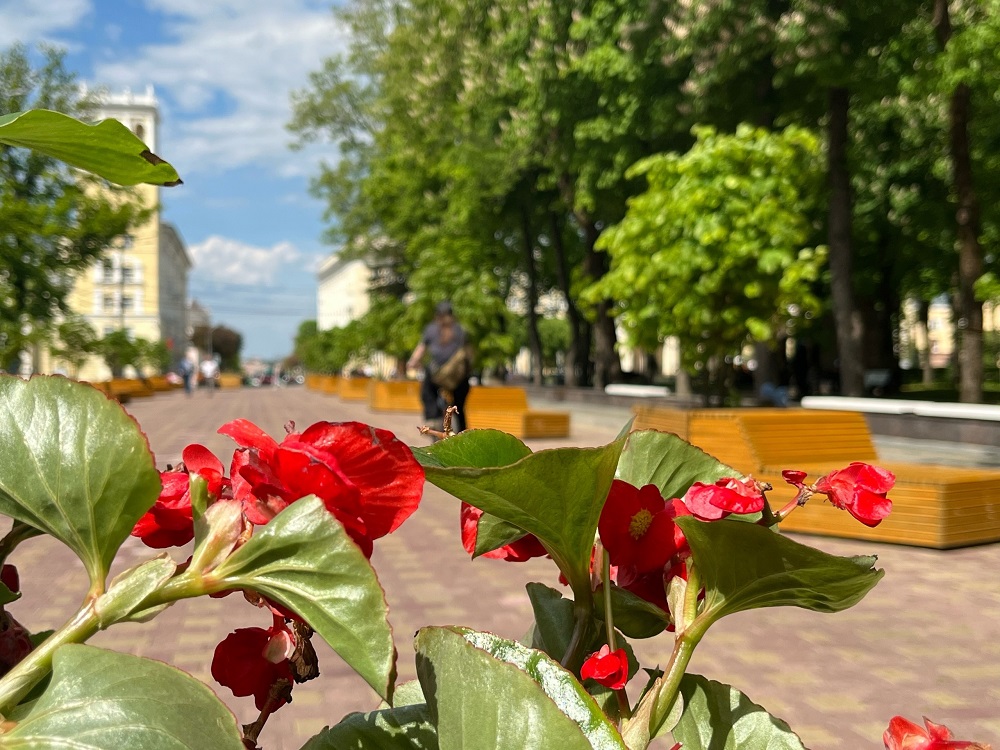 Девять общественных пространств благоустроят в Смоленской области